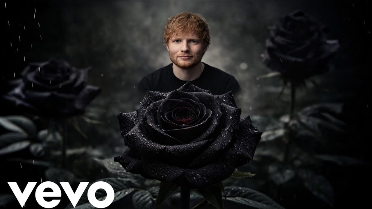 Ed Sheeran – Black Rose in the Rain (Emotional BlackRose music 2026)