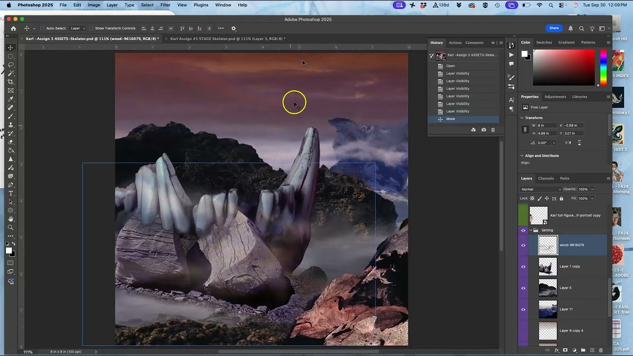 7  Making Changes to Your Frames By Editing them Out and Resetting the Assets