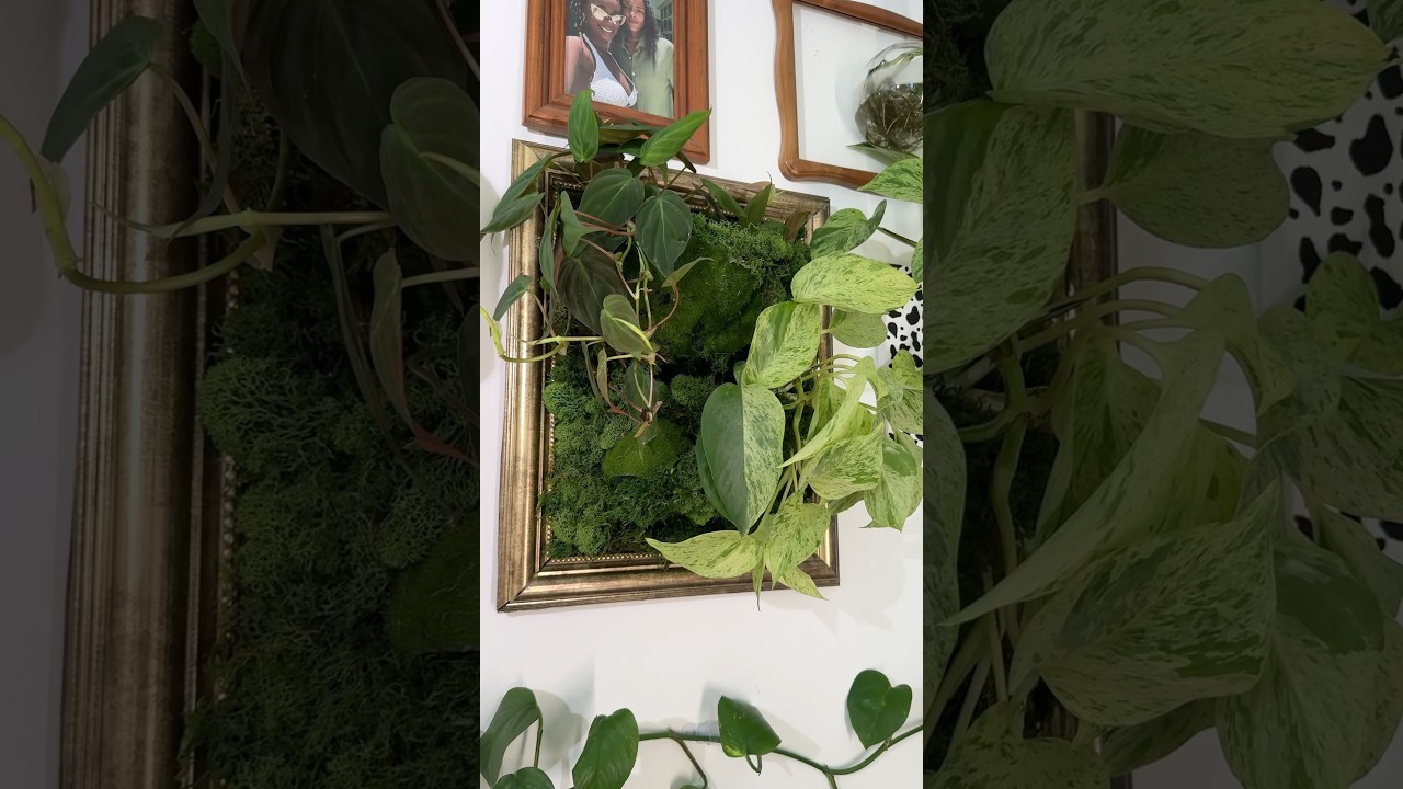 Pl(art): The expression or application of plants as a form of art🪴🖼️ #plantmom #plantart #plantmom