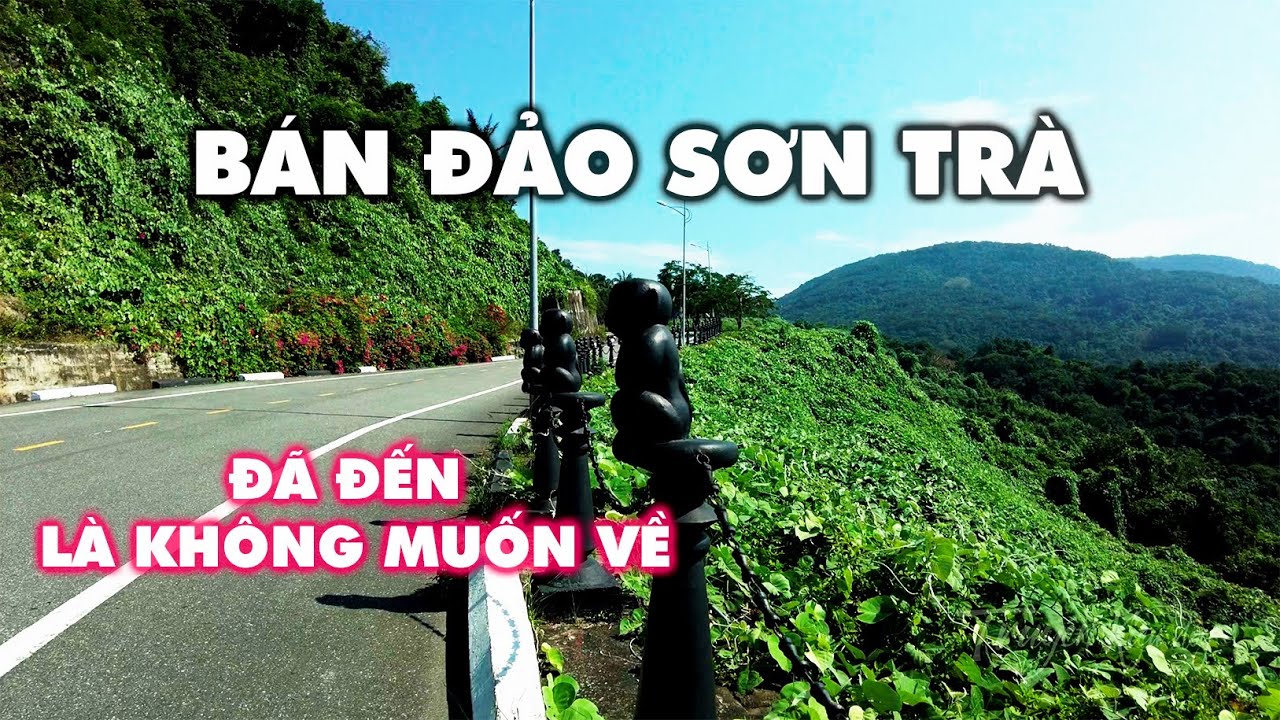 Đà Nẵng: Cung đường phượt quên lối về tại Bán Đảo Sơn Trà │ Da Nang Motorcycle Tours
