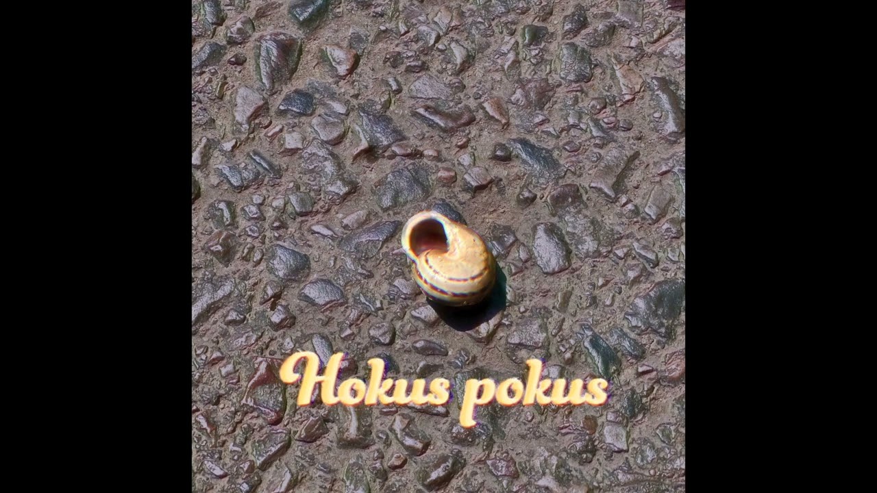 Hokus pokus