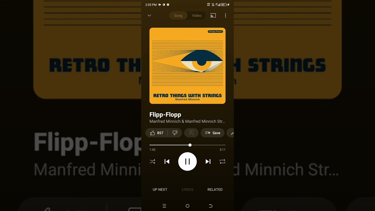 RADIO MUSIC FLIPP FLOPP