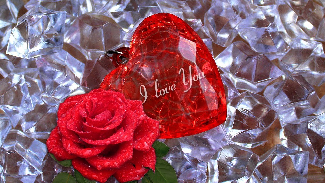 Happy Valentine's Day!