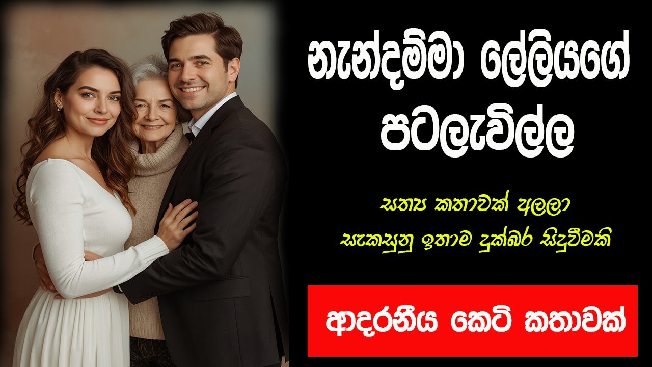 නැන්දම්මා සහ ලේලියගේ පටලැවිල්ල | new sinhala keti katha | new sinhala short stories 2025 | #story