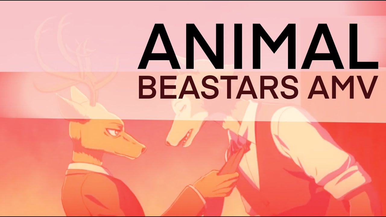 Animal (Neon Trees) ~ Louis/Legosi [Beastars AMV]