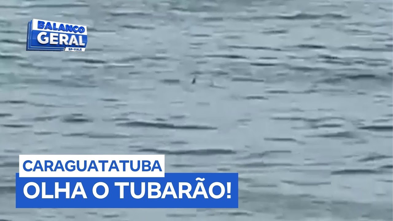 Banhistas se assustam com suposta aparição de tubarão em praia do litoral norte de SP