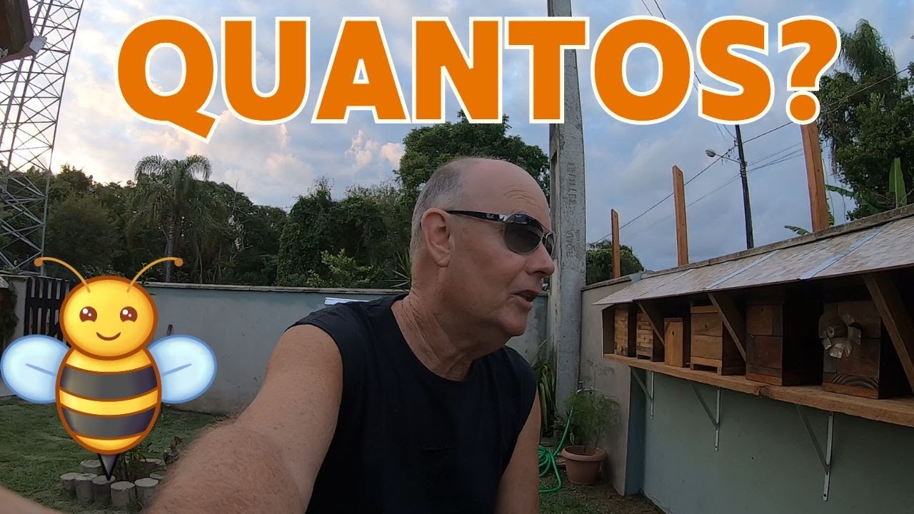 411- QUANTOS ENXAMES EU TENHO NO QUINTAL