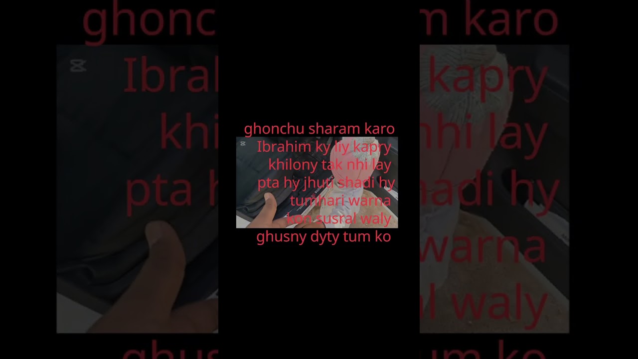 Ghonchu aya contant laya 😂@farooqyaseen9179 @sitarayaseensana @mustafasajidvlogs