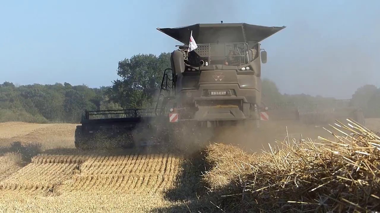 IDEAL 8 PL | Massey Ferguson im Ernteeinsatz | MIHG