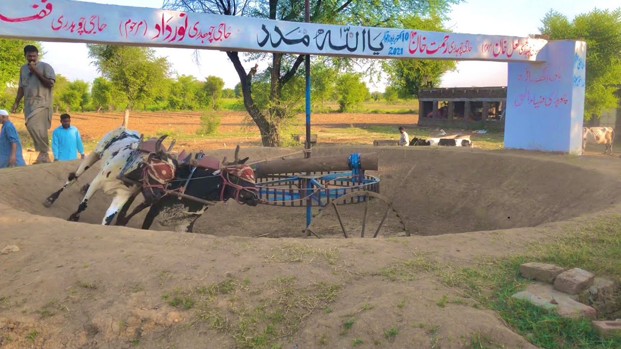 Ch Rehmat Khan Ladi Late Of Aima Ladian 6 mint 116 10 mint 190.