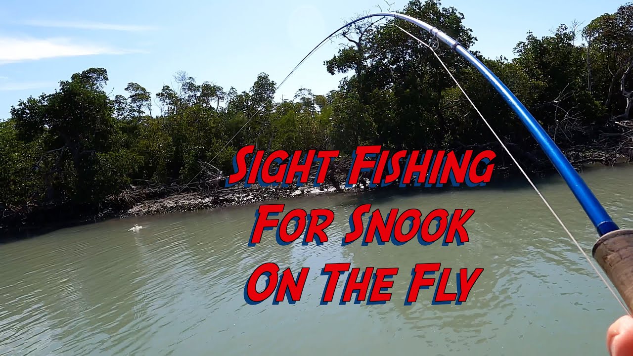 Episode 5 - Sight fishing for Snook on the fly in Marco Island