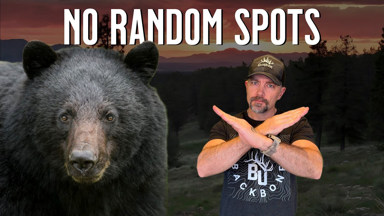 Most Spring Bear Hunters Miss This Critical Movement Pattern | Bear Hunting Tips