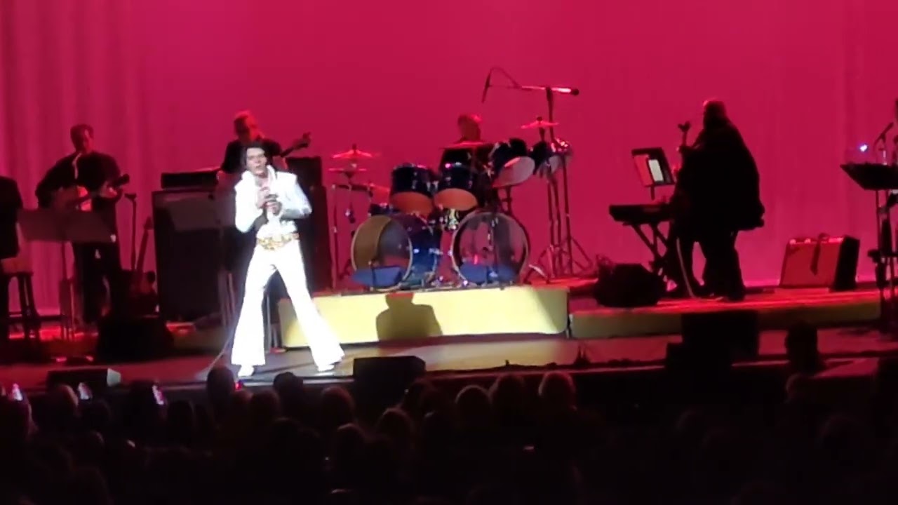 Suspicious Minds - Matt Stone 