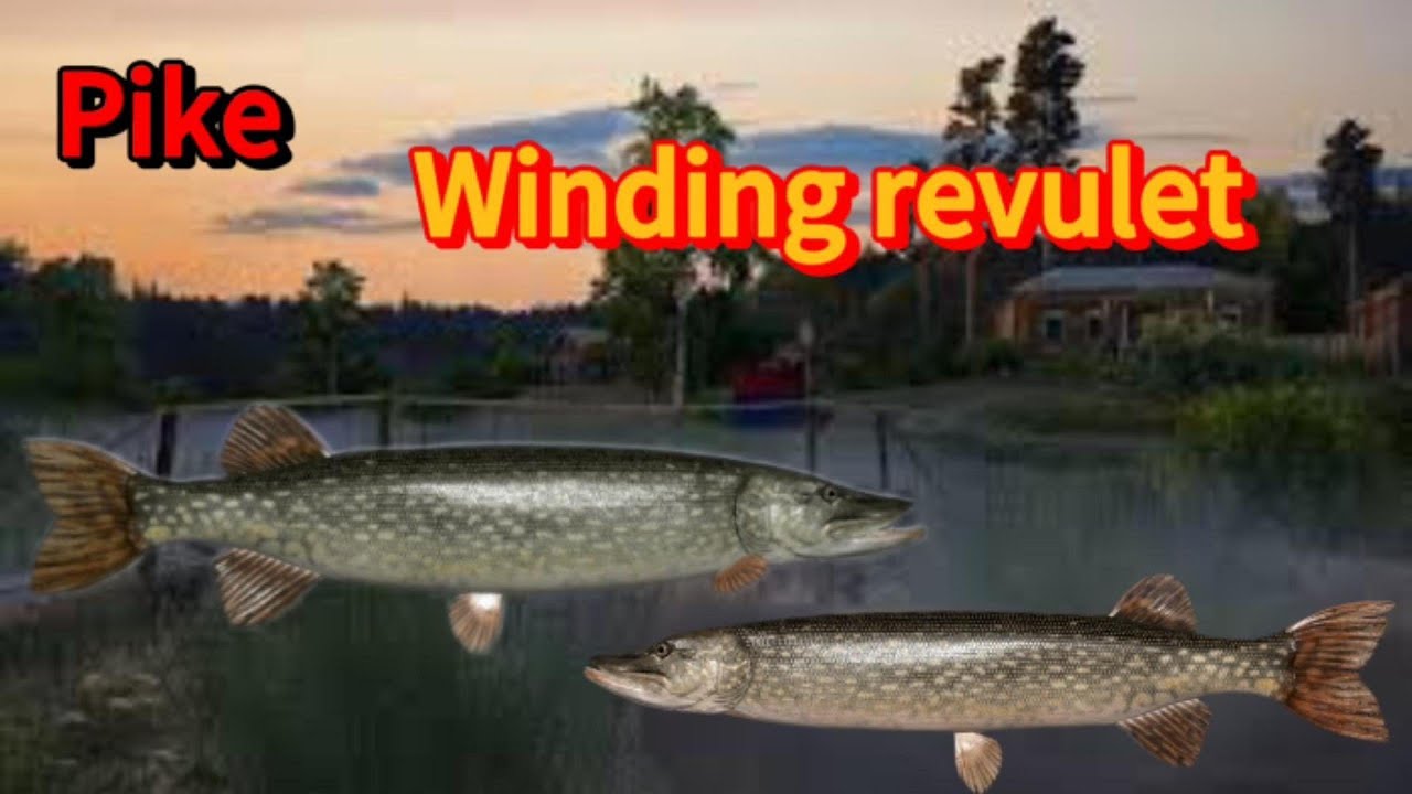 #Pike: russian fishing 4 : pike map winding rivulet