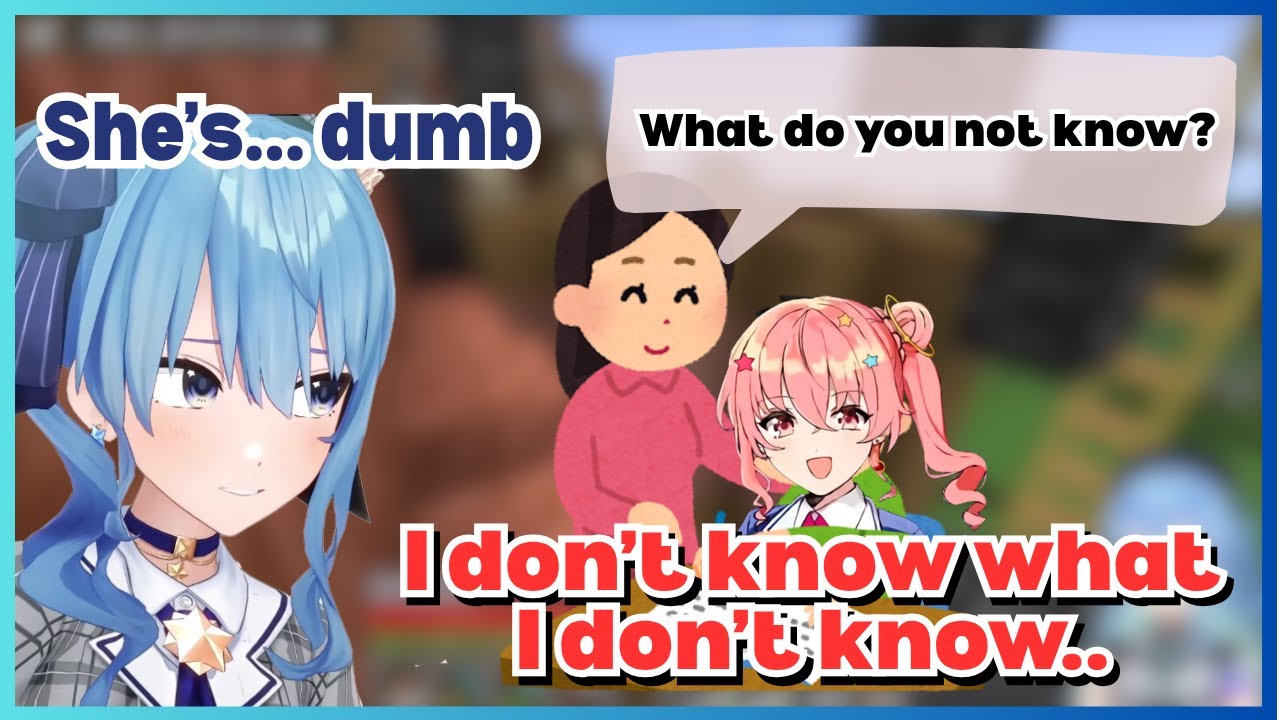 Suisei Shares the Time Anemachi Made Her Tutor Lose It【Hololive | Eng Sub】