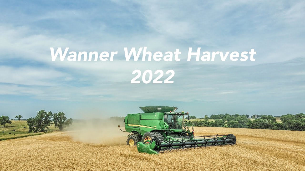 Wanner Wheat Harvest 2022