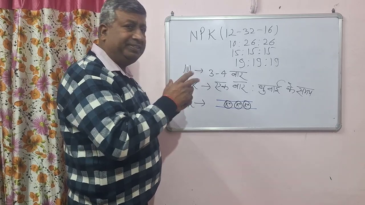 अधिक पैदावार हेतु एन पी के उर्वरक का प्रयोग कैसै करना चाहिए