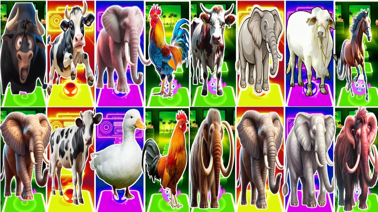 Funny Ferdinand 🆚 Funny Cow 🆚 Funny Elephant 🆚 Funny Animal Coffin Dance Song 🎶