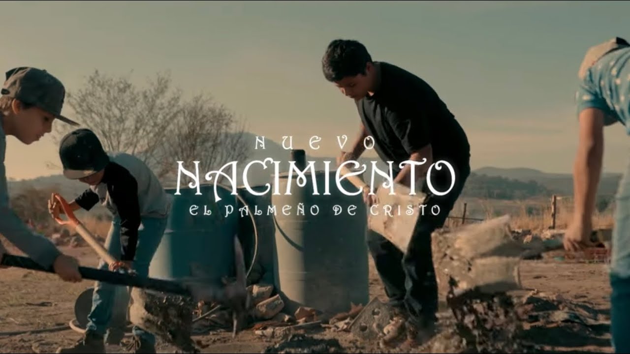 Nuevo Nacimiento/ El Palmeño de Cristo