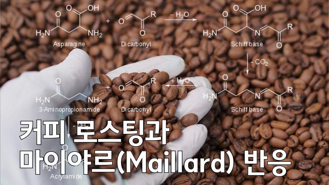 커피 로스팅과 마이야르(Maillard) 반응