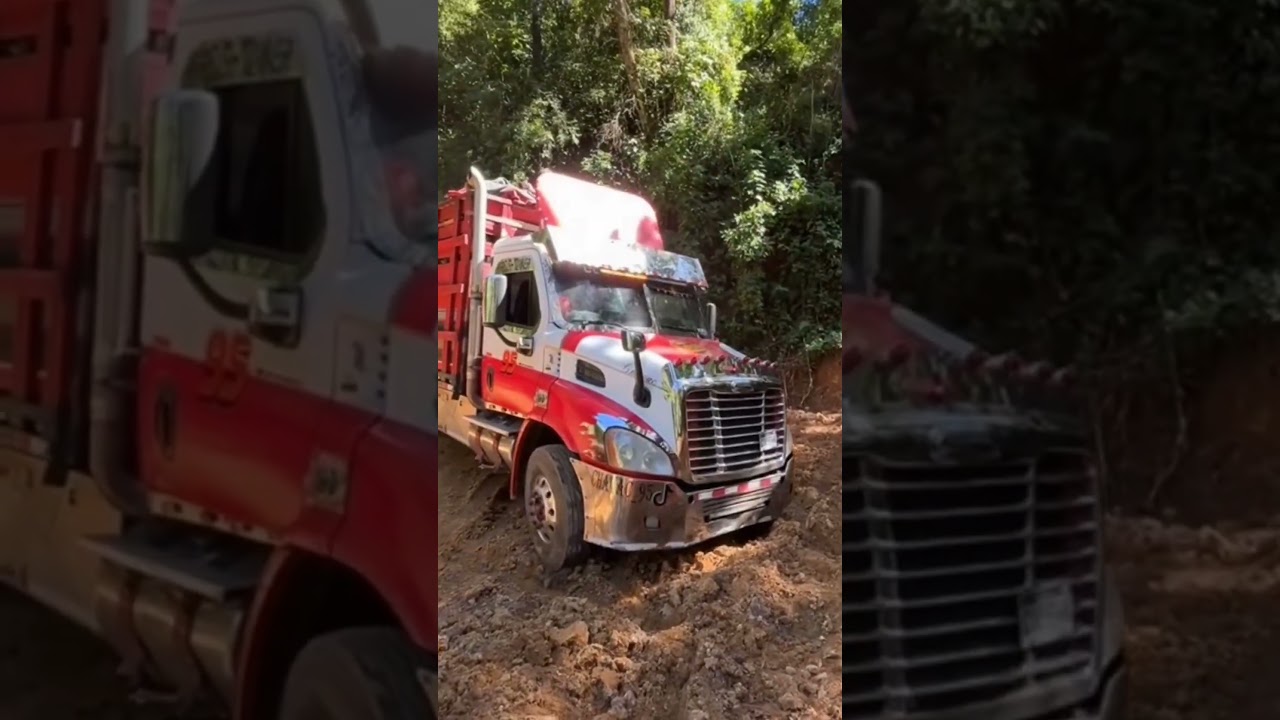 skill trucker navigating a narrow roads #automobile