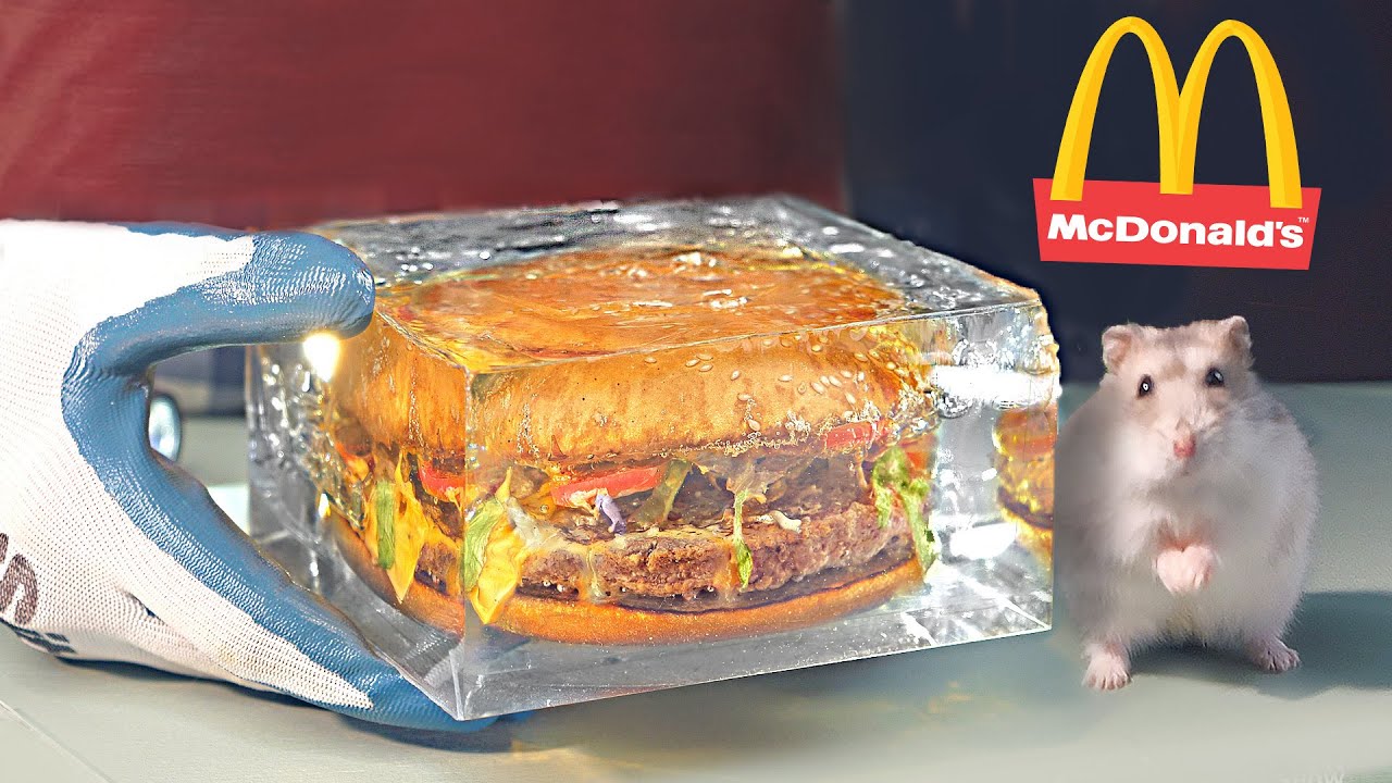 COMMENT CONSERVER LE HAMBURGER PENDANT 1 AN