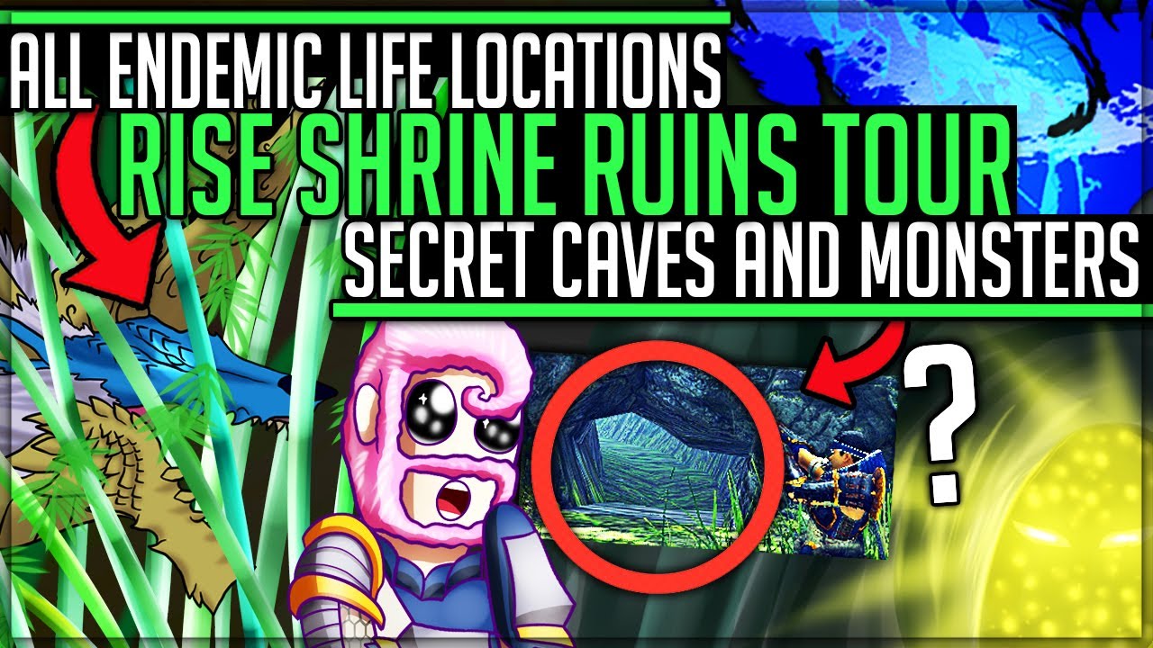 Shrine Ruins New Map - Secrets/Hidden Caves/Tour/Zinogre/Breakdown - Monster Hunter Rise!