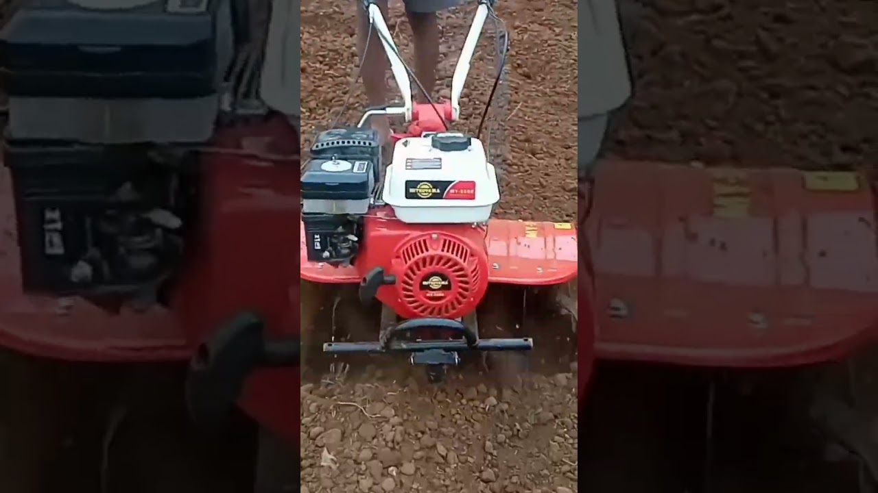 साथ मार्केट 😍 