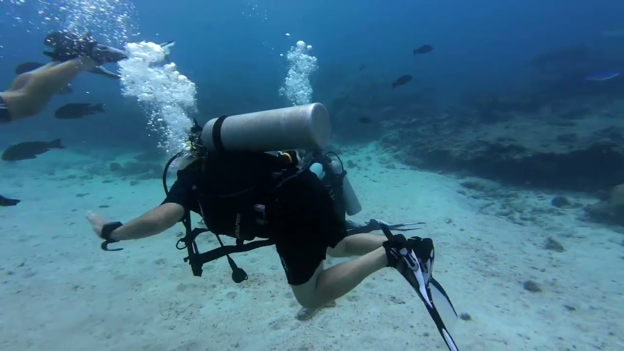 Practicing our diving skills