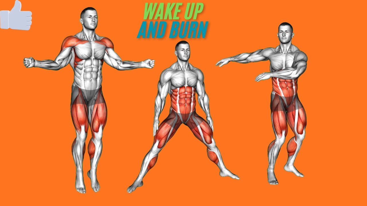 Total Body Toning for Beginners | No Equipment Follow Along