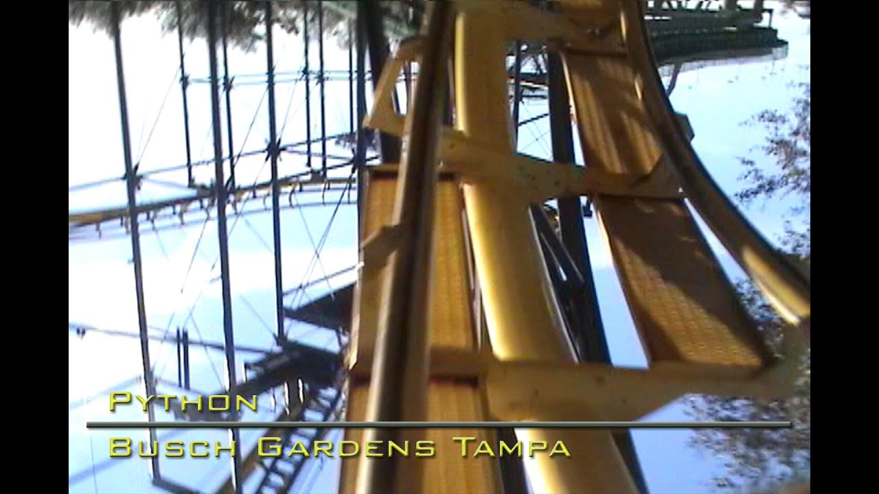 Python On-Ride (Front & Back Car) - Busch Gardens Tampa
