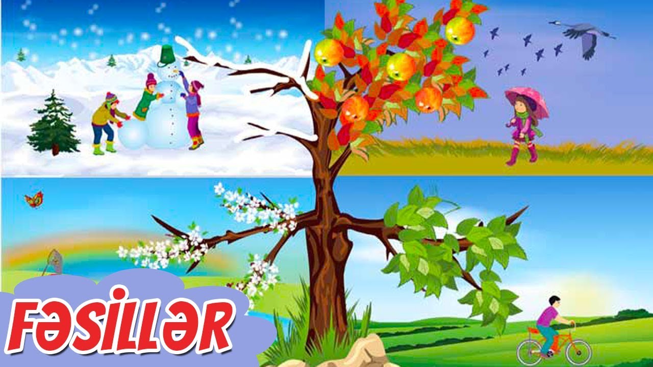 İlin fəsilləri