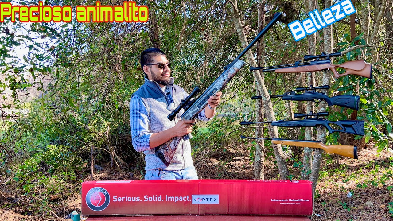 Hatsan Mod 125 Sniper Vortex QE .22(español latino