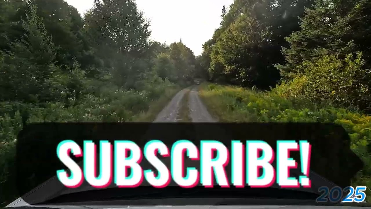Big Brook Bog Road
