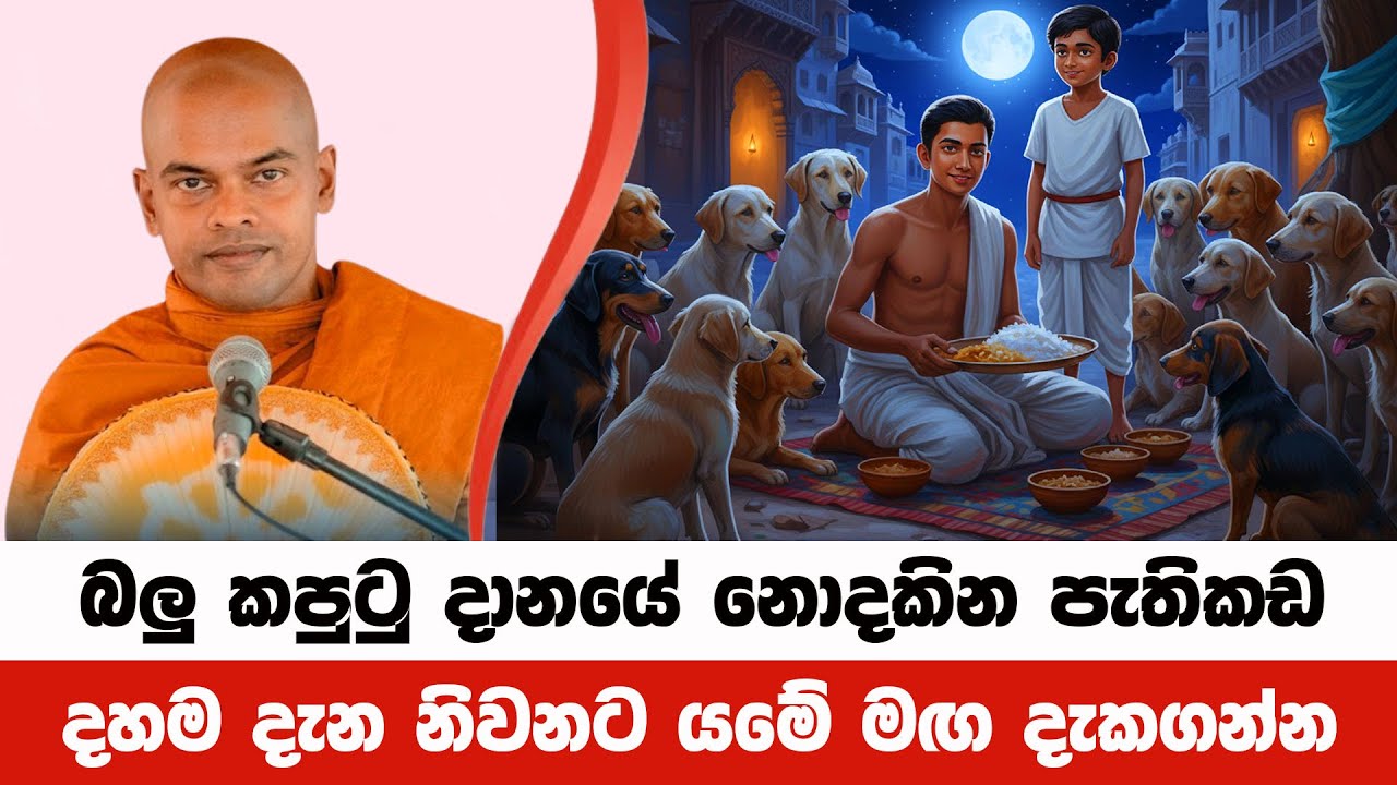 බලු කපුටු දානයේ නොපෙනෙන පැතිකඩ දකින්න | Kiriwaththuduwe Ariyadhassana Thero | Pattana Deshana 99