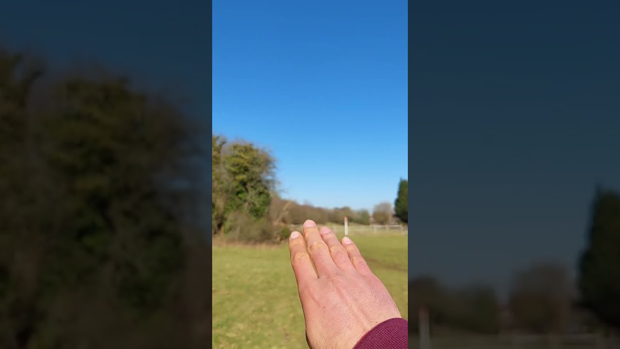 Chipstead Downs, 7/2/2023 - Part 1
