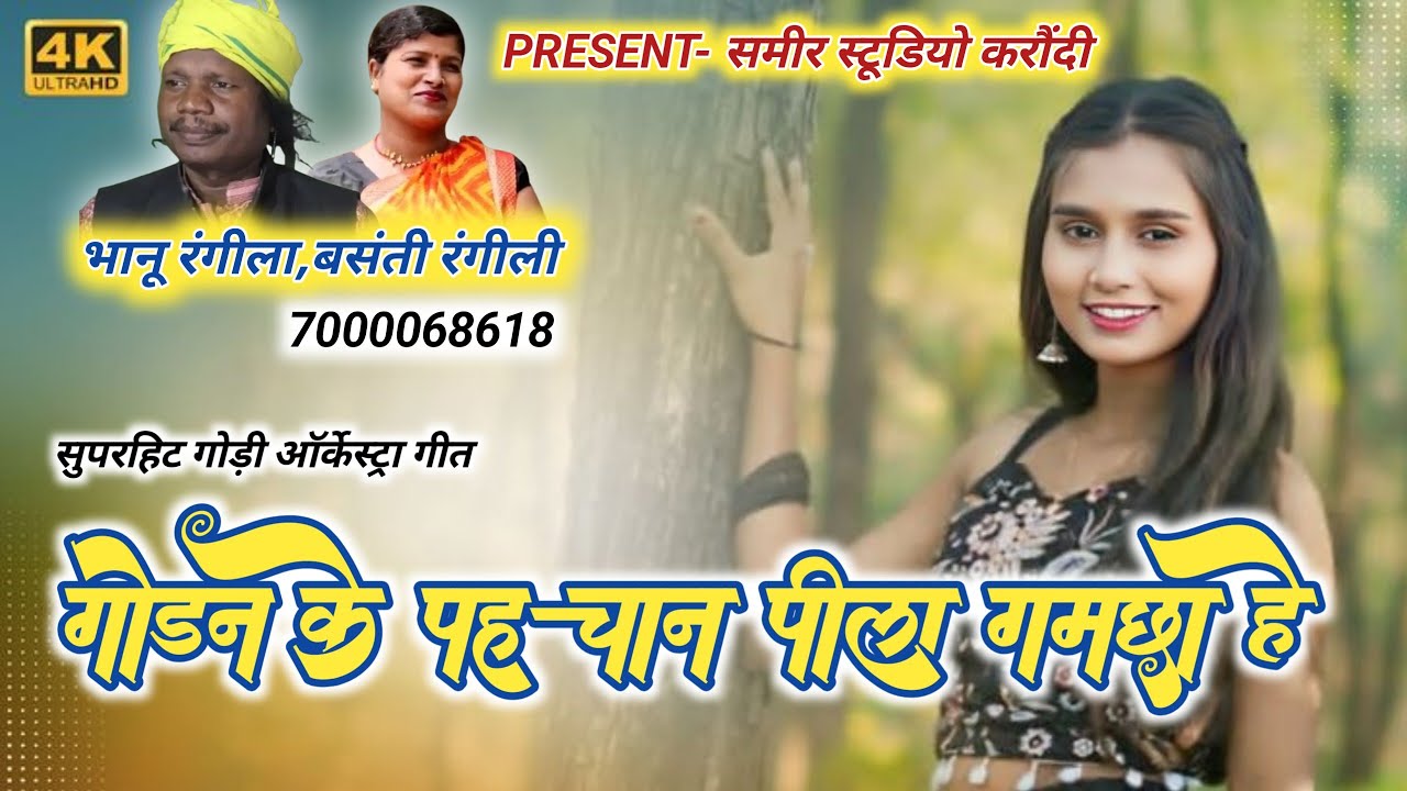 गोंडवाना तूफान गायक भानू रंगीला, बसंती रंगीली जी के धमाकेदार प्रस्तुति 🌹 गोडन के पहचान पीला गमछा हे 