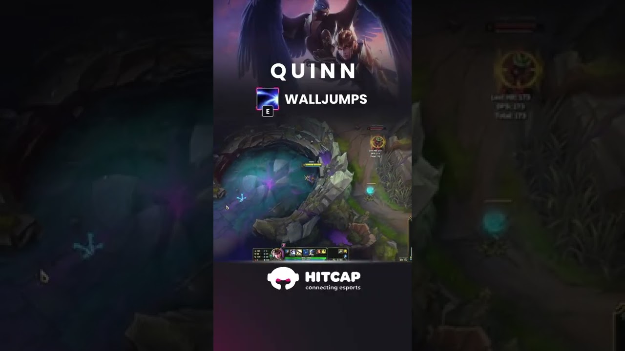 Some tricks to take the best out of your Quinn!
