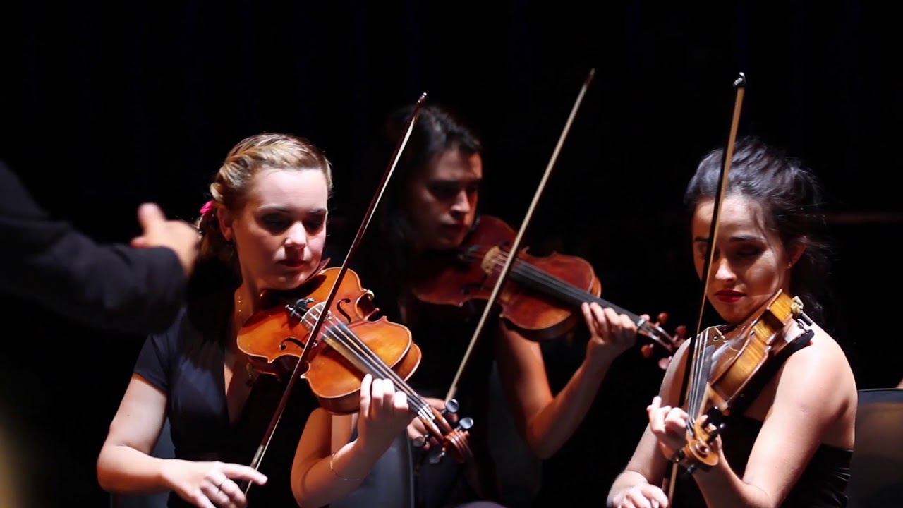 SERTÕES VEREDAS I - Camerata Romeu