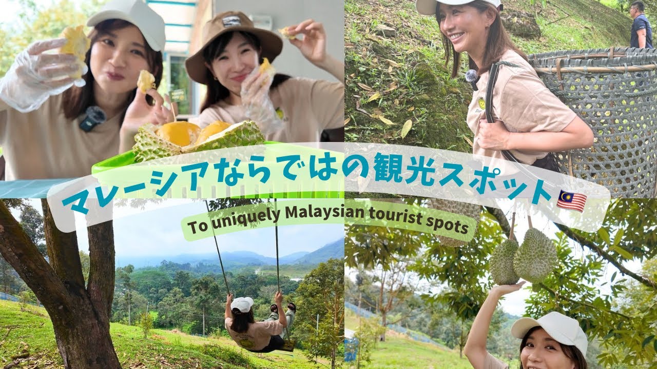 ドリアンの概念が180度変わったフレッシュさ❤️in Durian farm