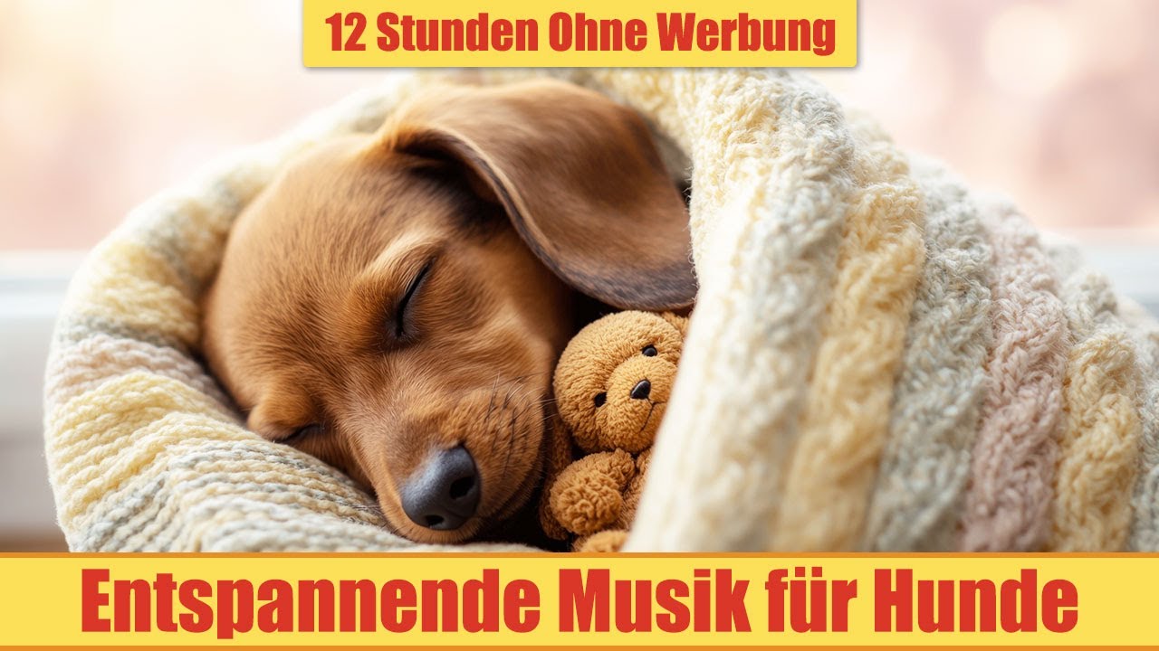 Schlafmusik für Hunde - 12 Stunden Ohne Werbung | Durchgehende Entspannungsmusik_vol.29