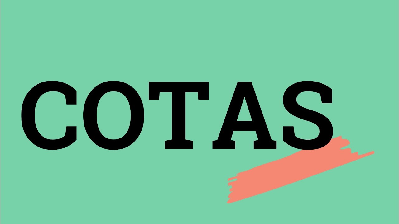 Cotas raciais são necessárias?