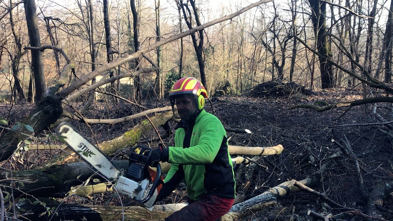 Stihl 660 working