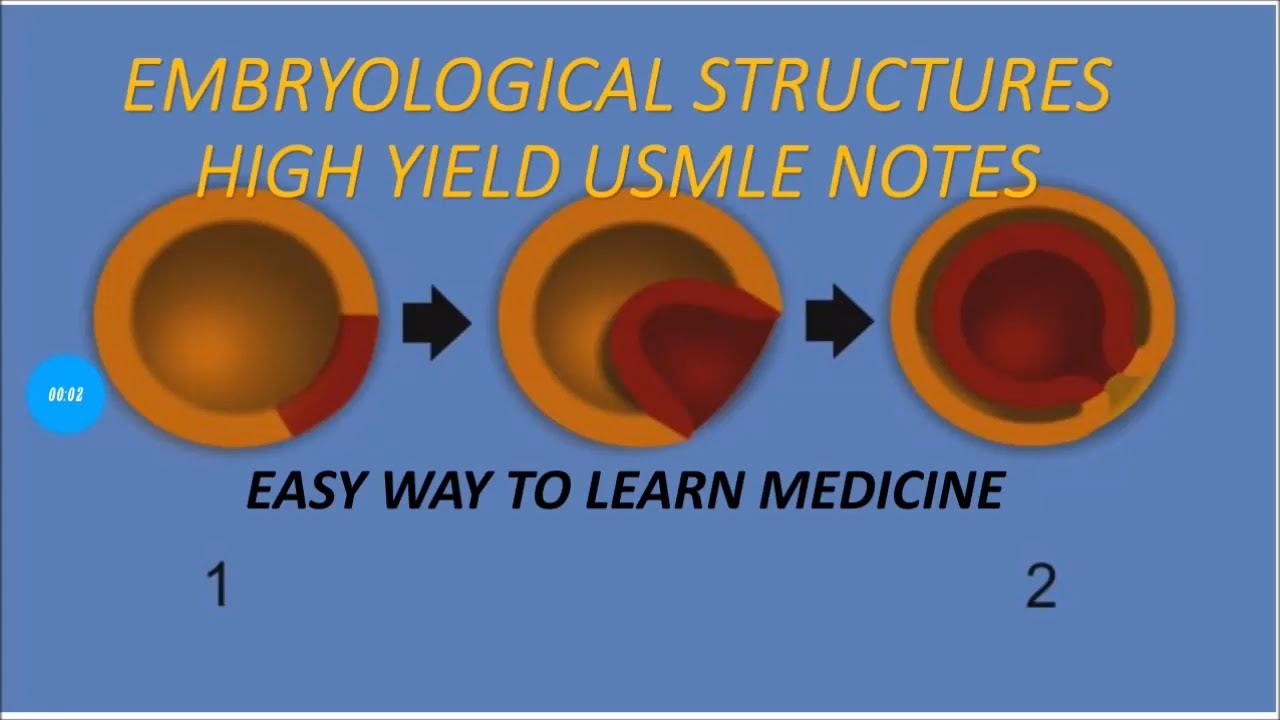 Embryological Structures - High Yield Usmle Short Notes