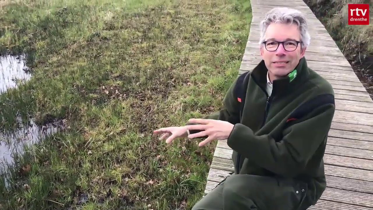 Even een ommetje door het Oudemolense bos | Natuurnieuws
