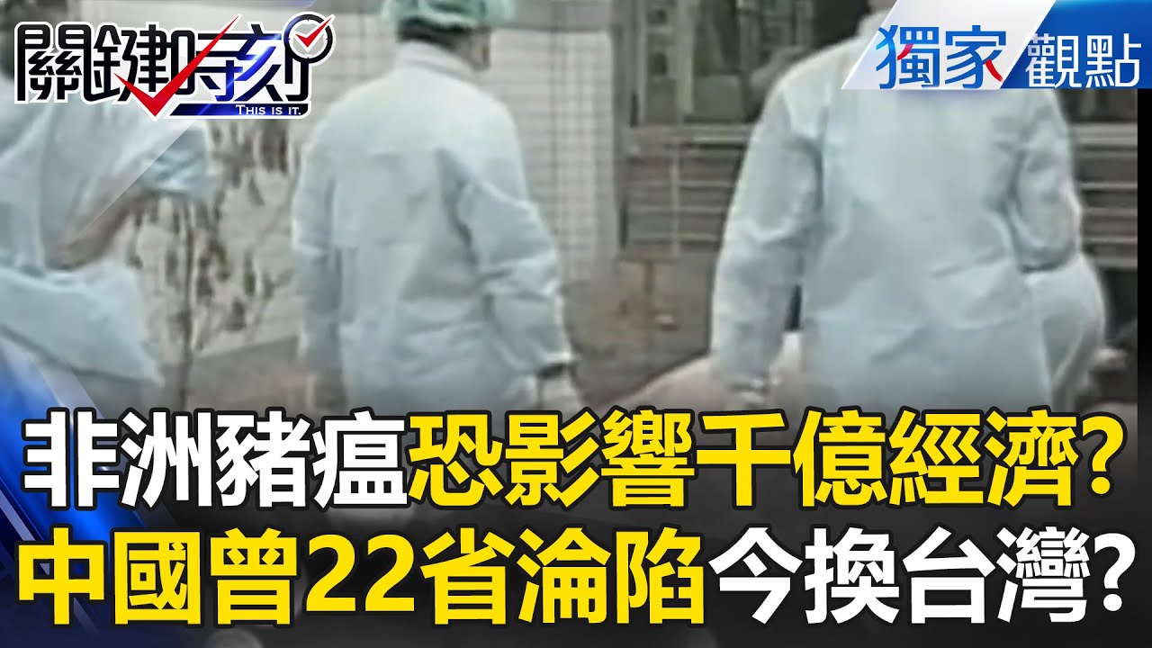 非洲豬瘟有多可怕「恐影響台灣經濟上千億」！中國2018年「22省淪陷」現在換台灣破功？ -【關鍵時刻】 @ebcCTime