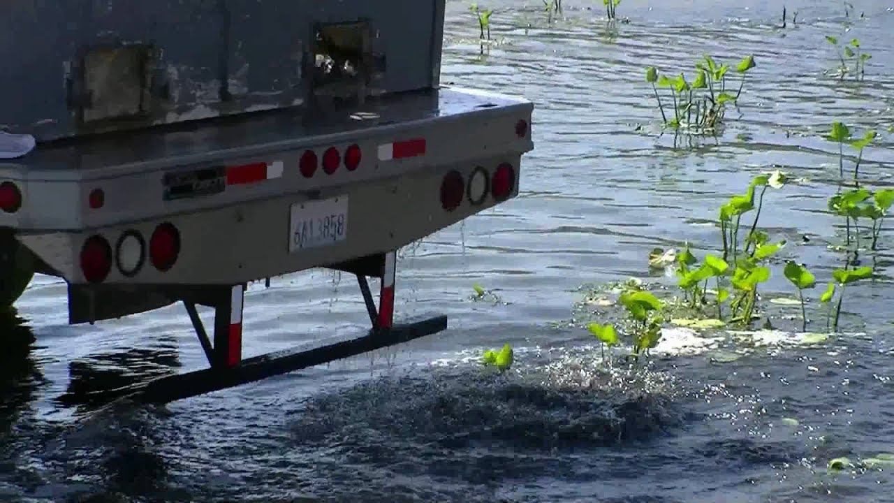 Heavy Catfish Stocking + SUPER CATS !! - Corona Lake - 7/30/10