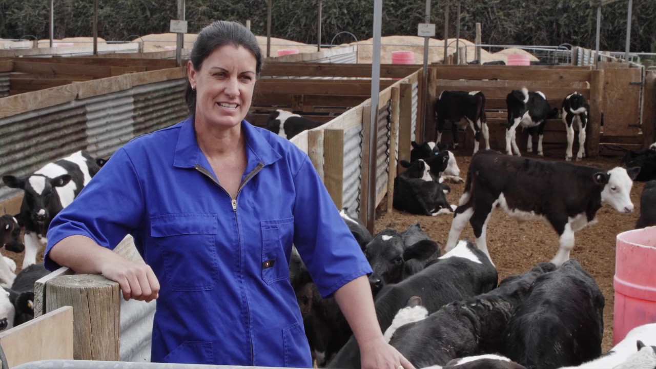 Joanne Leigh from Top Notch Calves shares her secret to rearing healthy calves