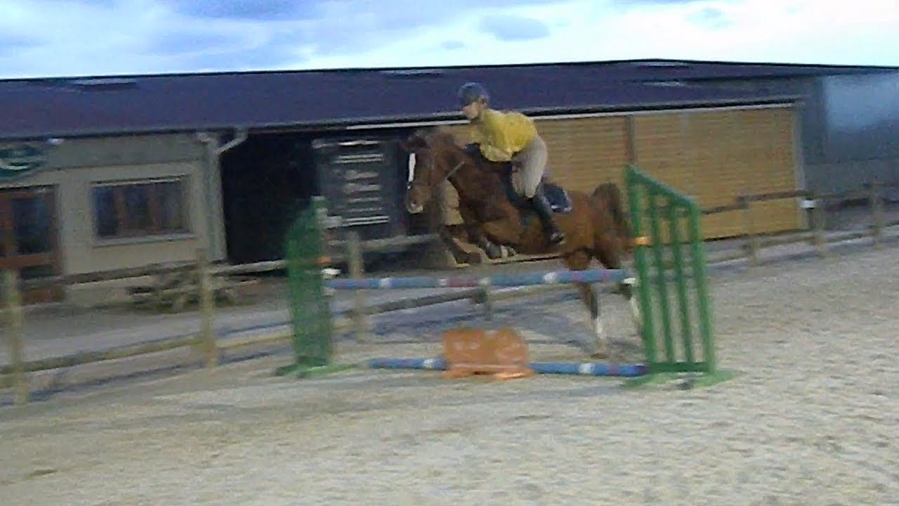 Samedi 9 mars - Cours galop 5/6