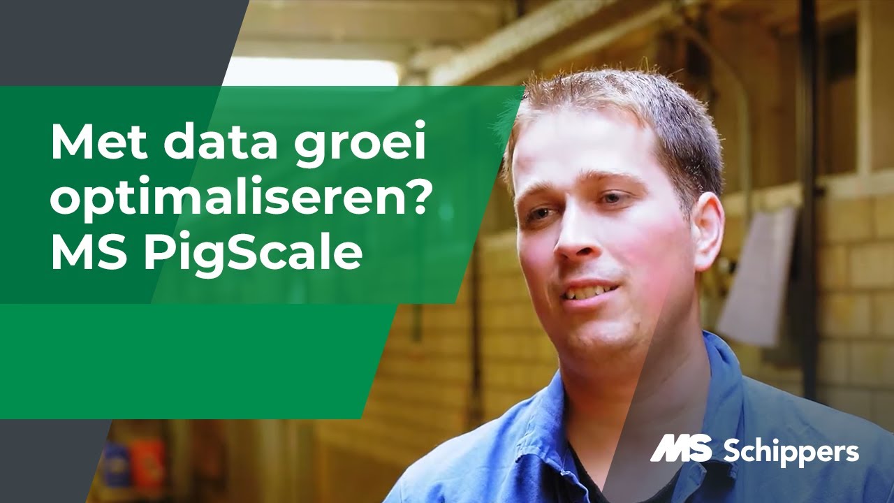 Hoe kun je met data de groei optimaliseren? | MS PigScale